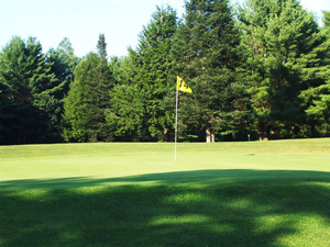 golf flag with course logo on the green